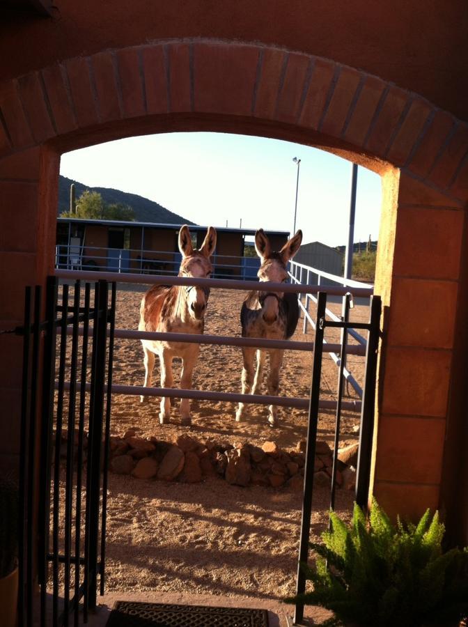 Full Circle Ranch B&B Inn Cave Creek Exterior foto